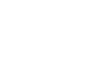 bmw.png