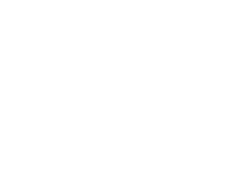 Audi logo white